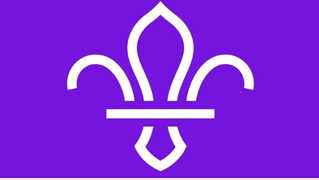 6th Fleet (Ancells Farm) Scout Group